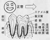 歯の健康　口の健康